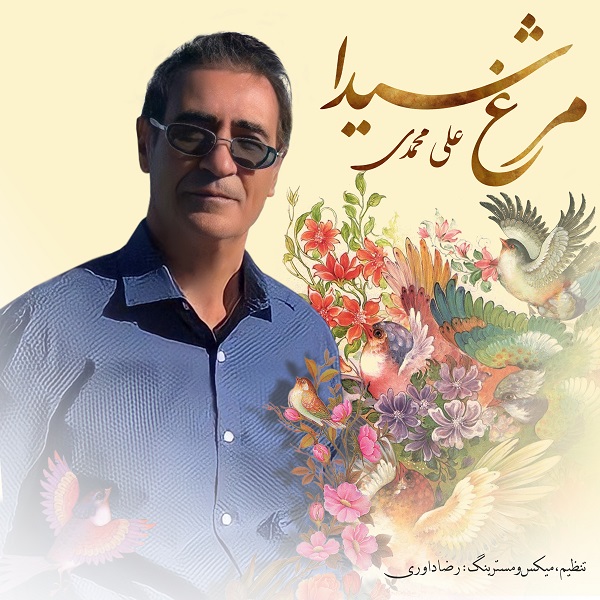 دانلود آهنگ علی محمدی مرغ شیدا